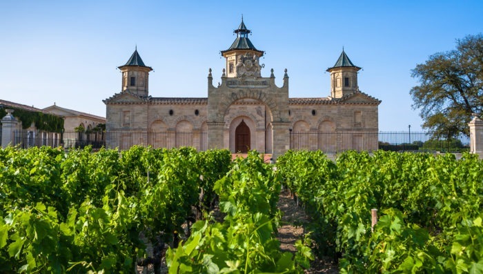 castle in Bordeaux and vineyards