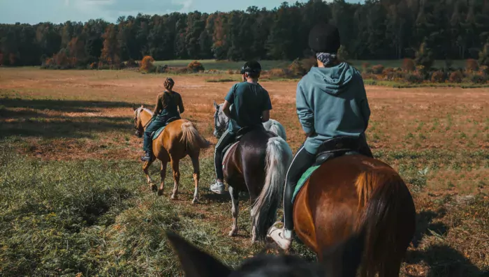 Horse Riding