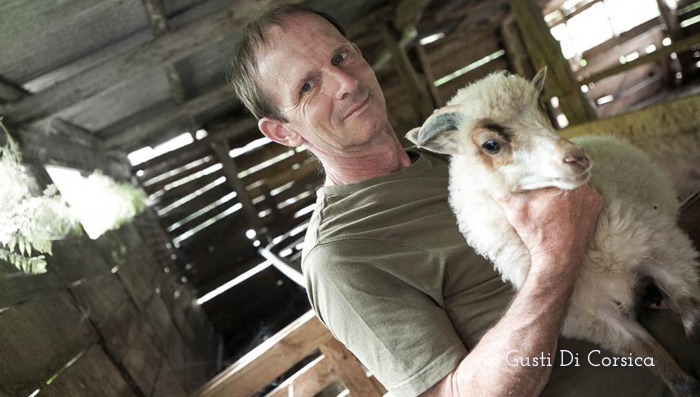 Men holding a sheep