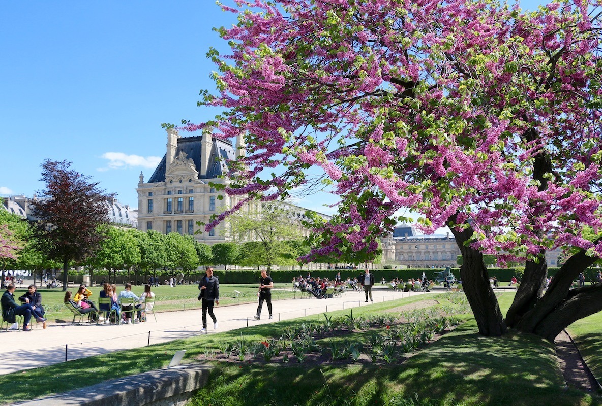 spring in paris beautiful parks and gardens to visit