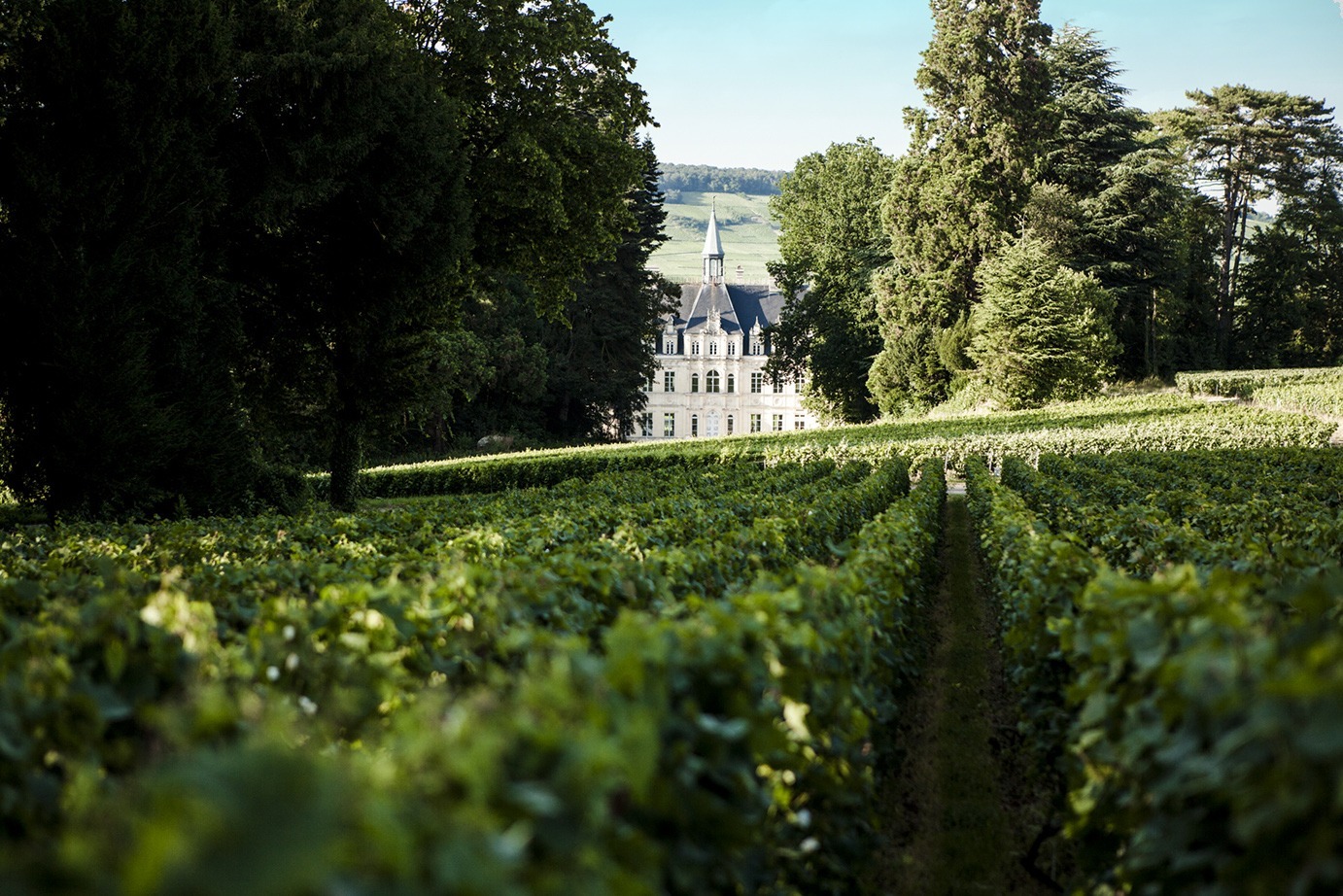 what to do in champagne in 2023 unique visit