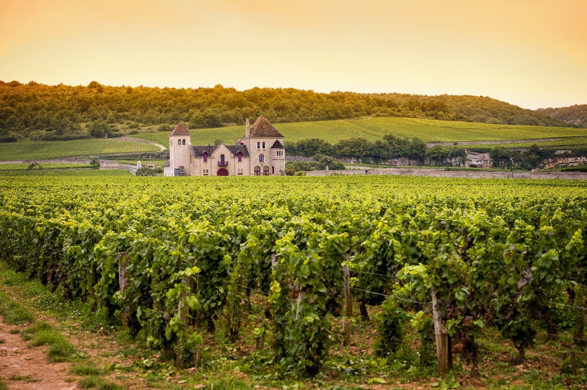 the best of burgundy