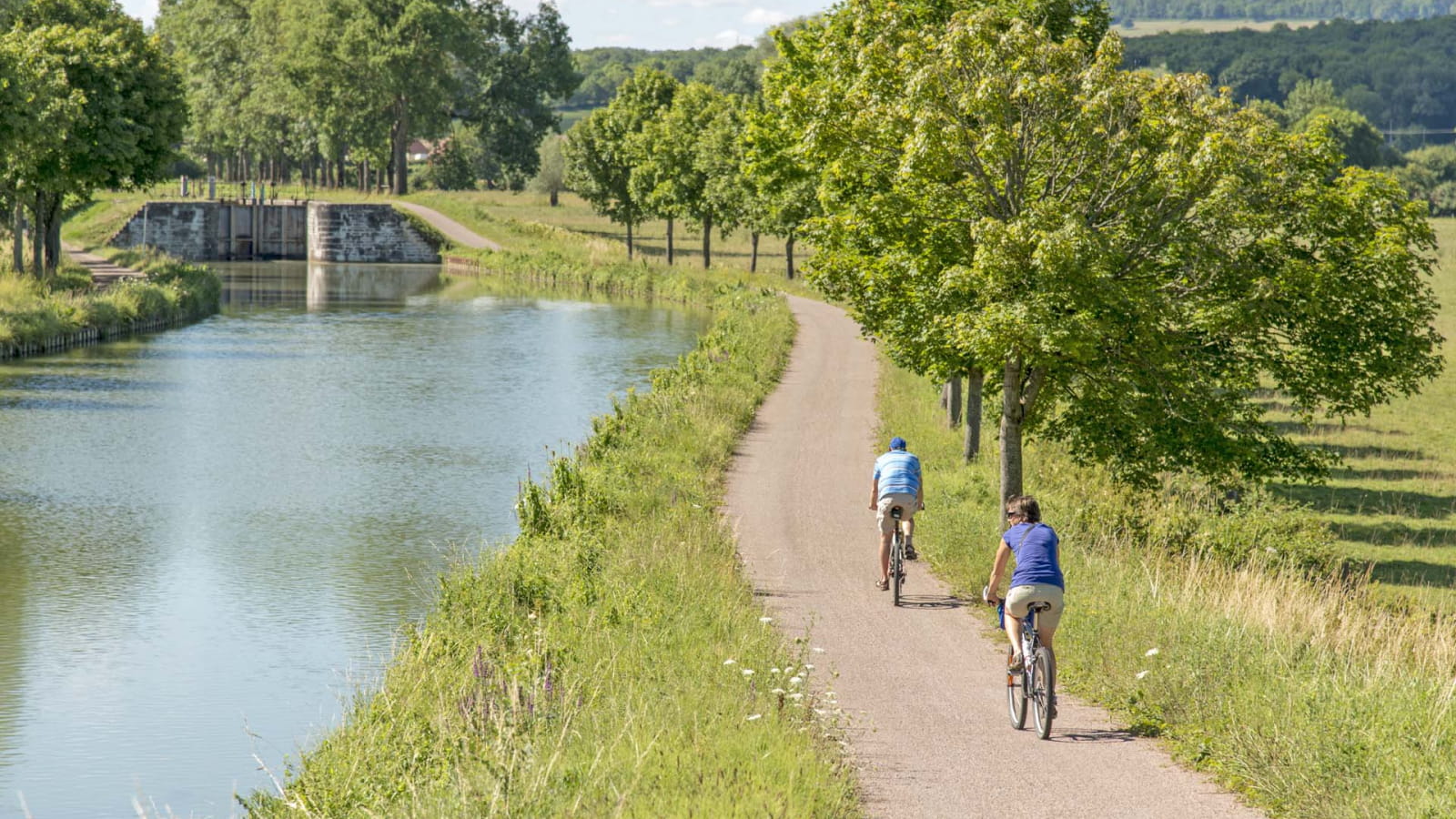 burgundy biking