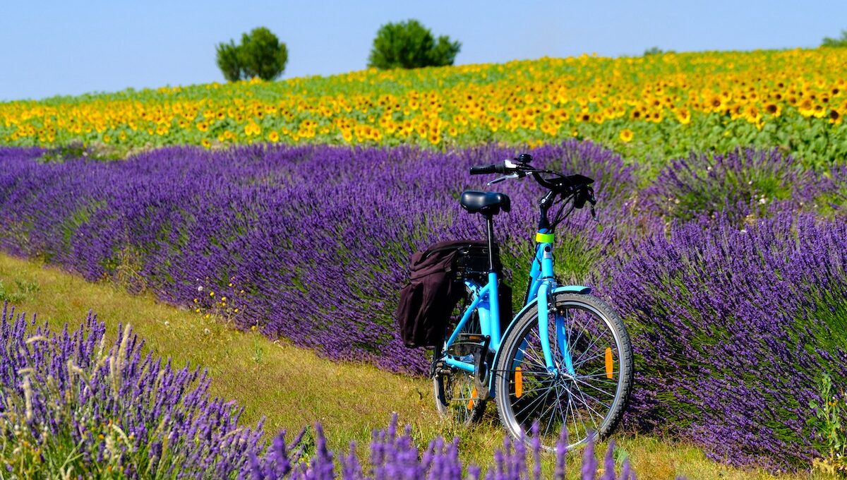 france by bike