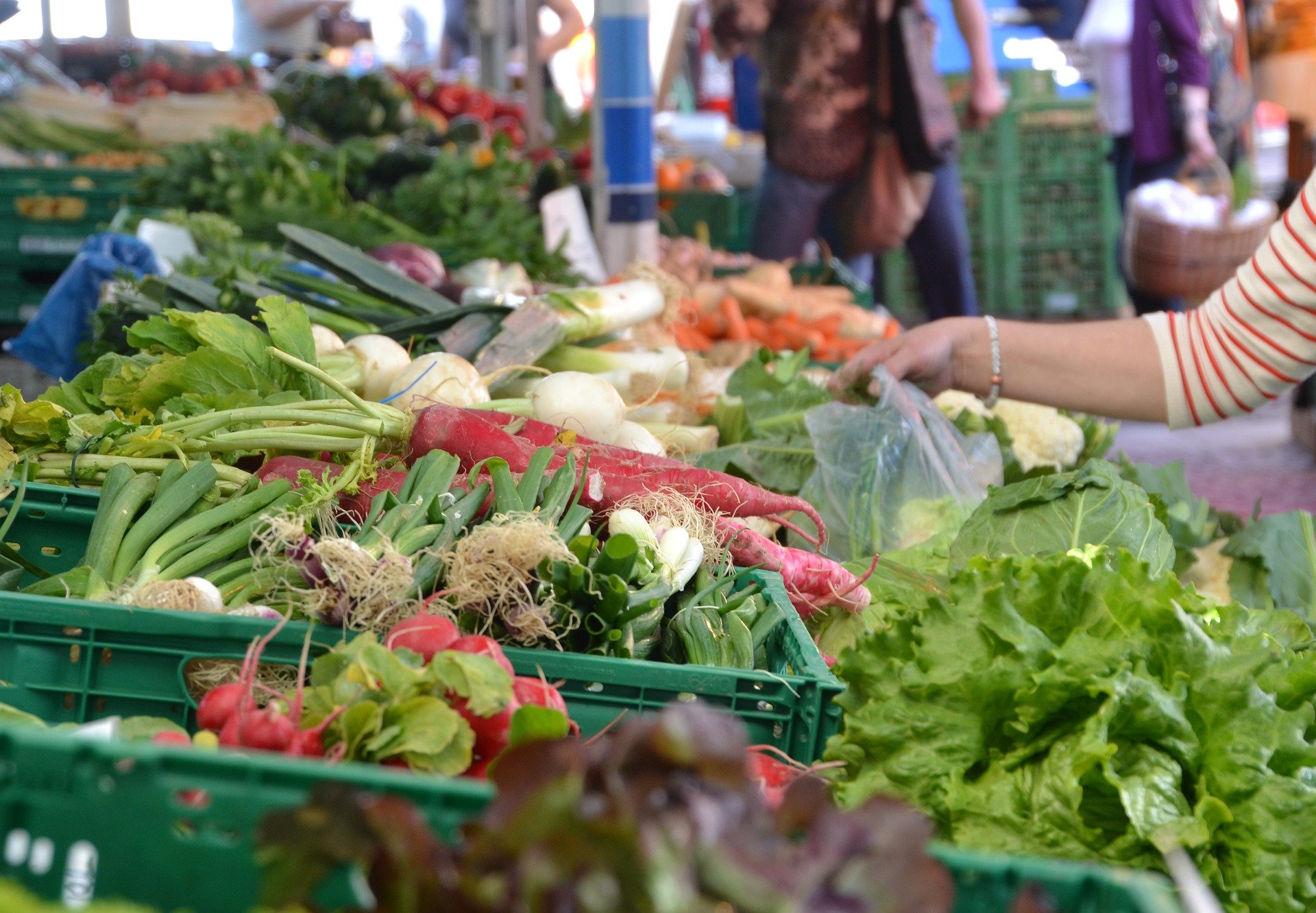 marseille market