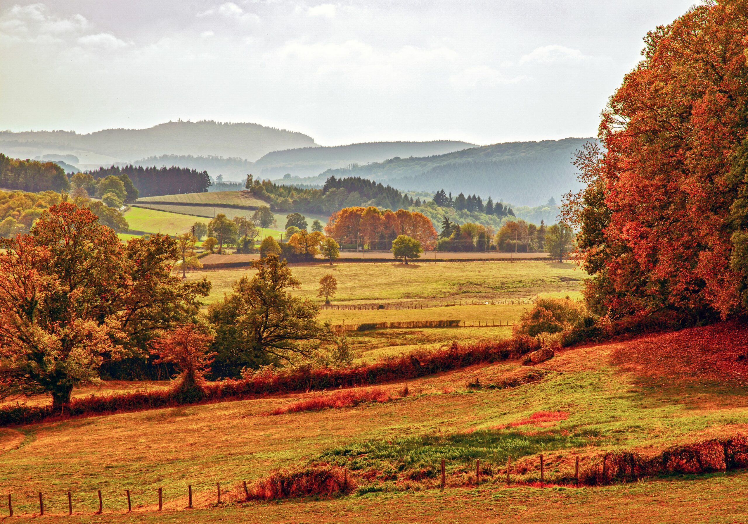 fall in burgundy