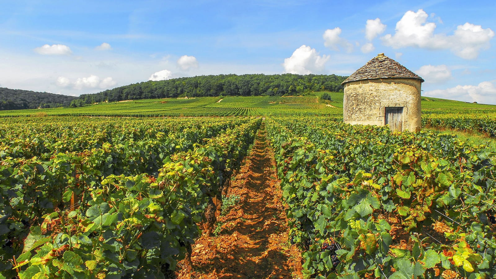 cote de nuits et cote de beaune