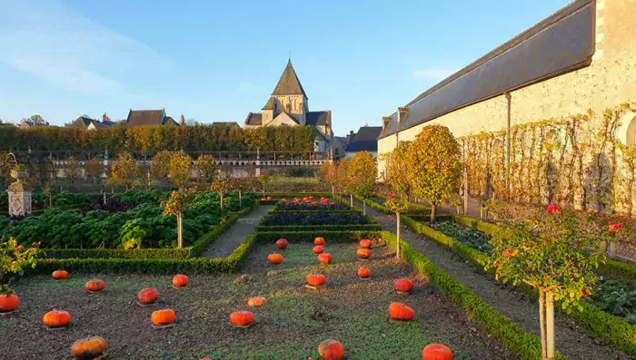 Villandry | French Side Travel | France Trip | Paris Trip | Luxurious Trip