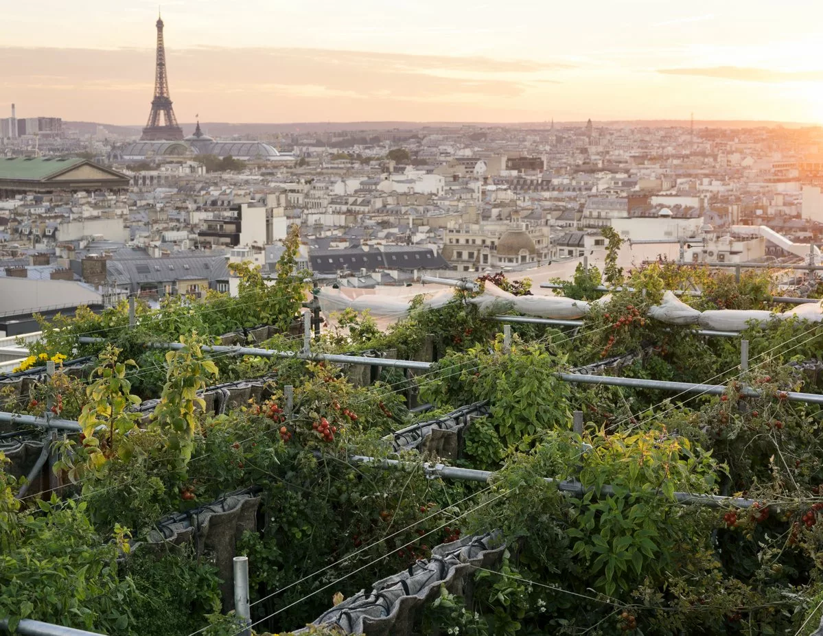 paris urban farm