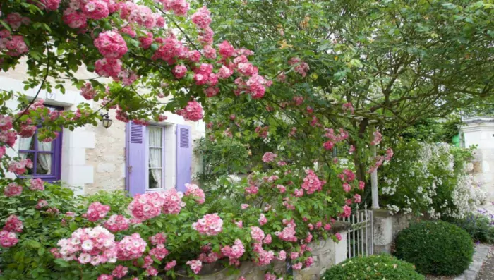 Village of Chédigny | Fontevraud Abbey | French Side Travel | France Trip | Paris Trip | Luxurious Trip | Customize Trip