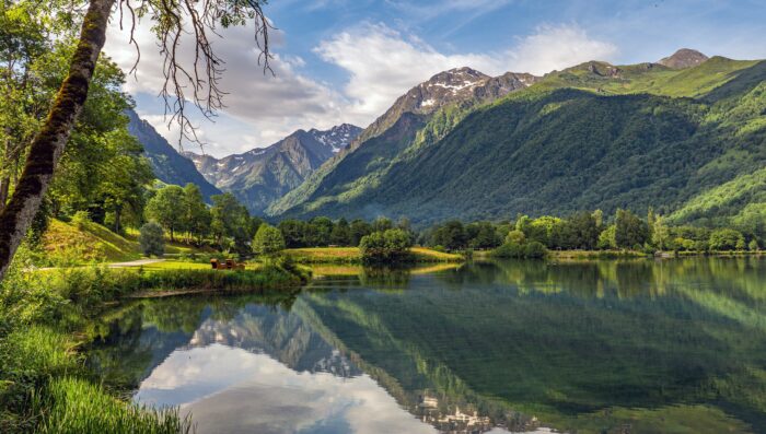 Pyrenees